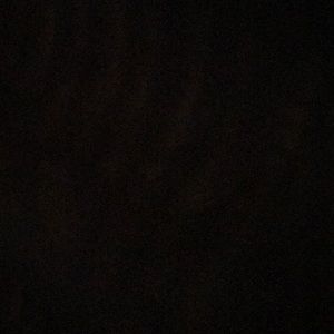 Meet your Posher, Lucy